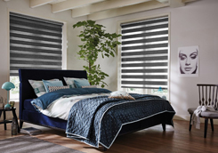 zebra_meni2